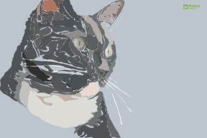 ilustración gato